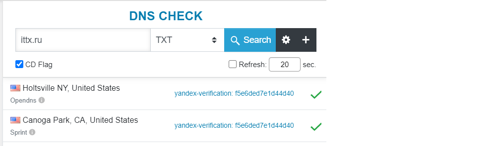 Приверка DNS записей