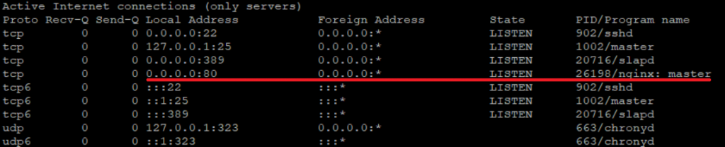 Установка Nginx на CentOS 7 - netstat